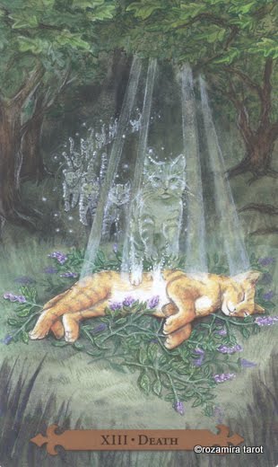 Mystical Cats Tarot